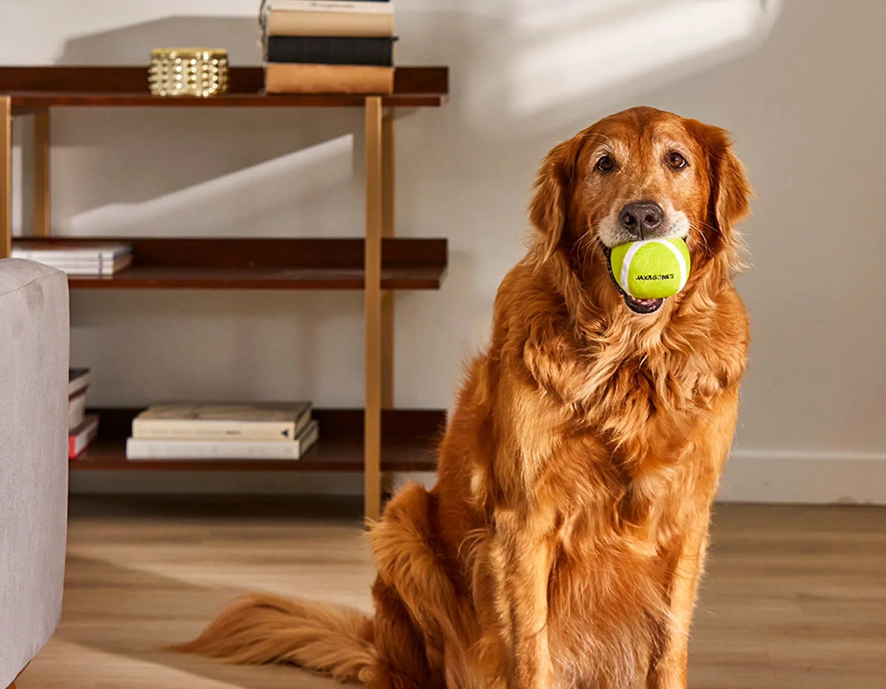 3" Tennis Ball Plush Toy (3 Pack)