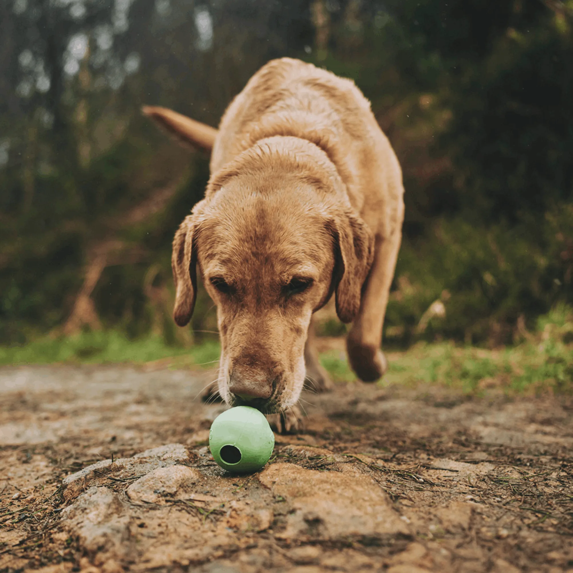 Beco Natural Rubber Ball