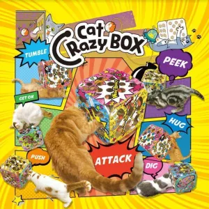 CattyMan Interactive Cat Toy in Puzzle Fun Box