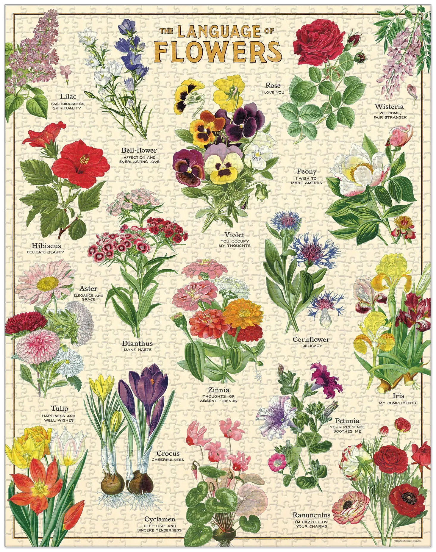 Cavallini & Co. Language of Flowers 1000 Piece Puzzle