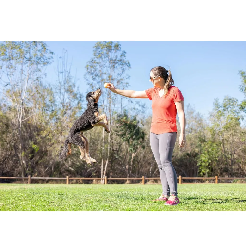 Chuckit! Birthday Fetch Ball Toy For Dog - Medium (Multi Color)