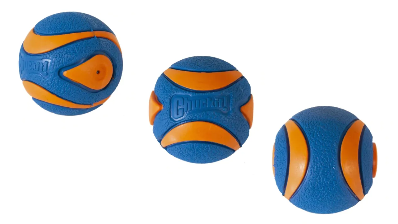 ChuckIt! Ultra Squeaker Ball Large 1pk