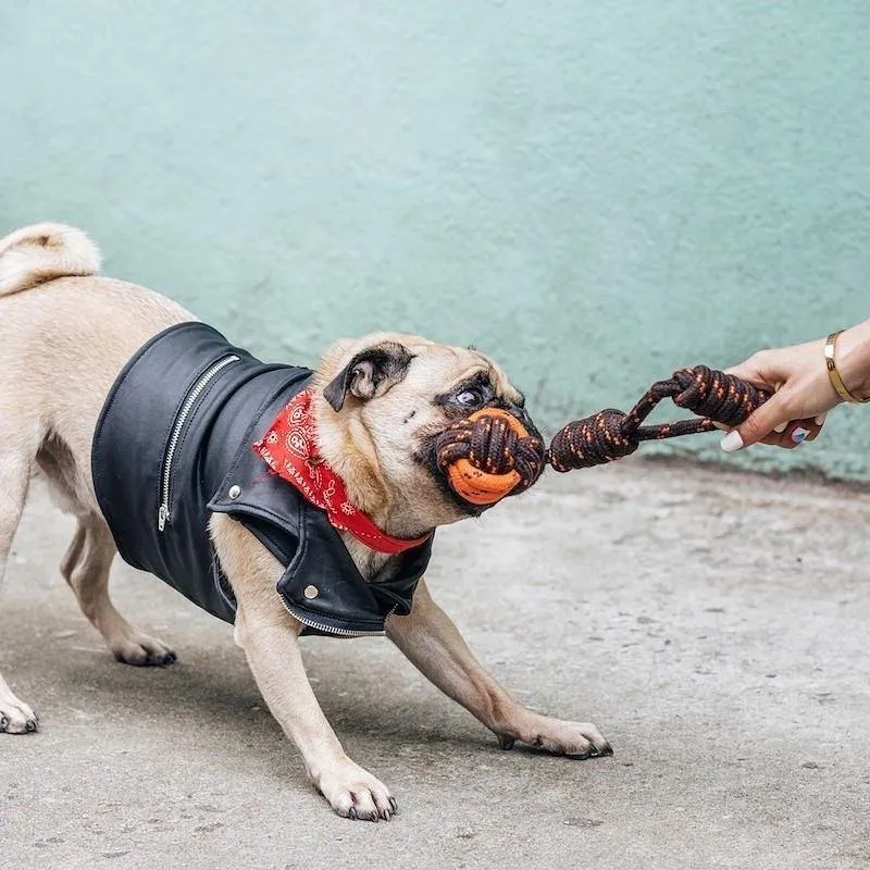 Dog Toy Tug Ball Rope