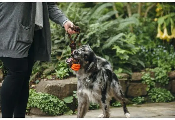 Dog Toy Tug Ball Rope