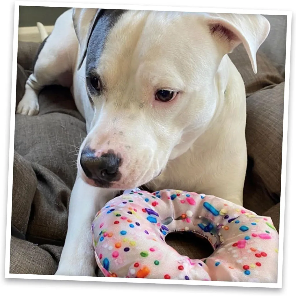 Doggijuana Get the Munchies Refillable Juananip Donut Squeaky Plush Dog Toy