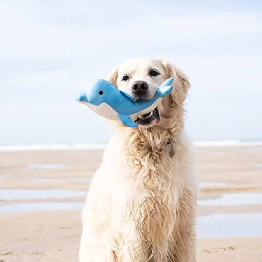 Dolphin Dog Toy – Eco-Friendly & Fun for Your Pet