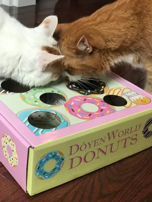 Donut Puzzle Box Cat Toy from DoyenCat