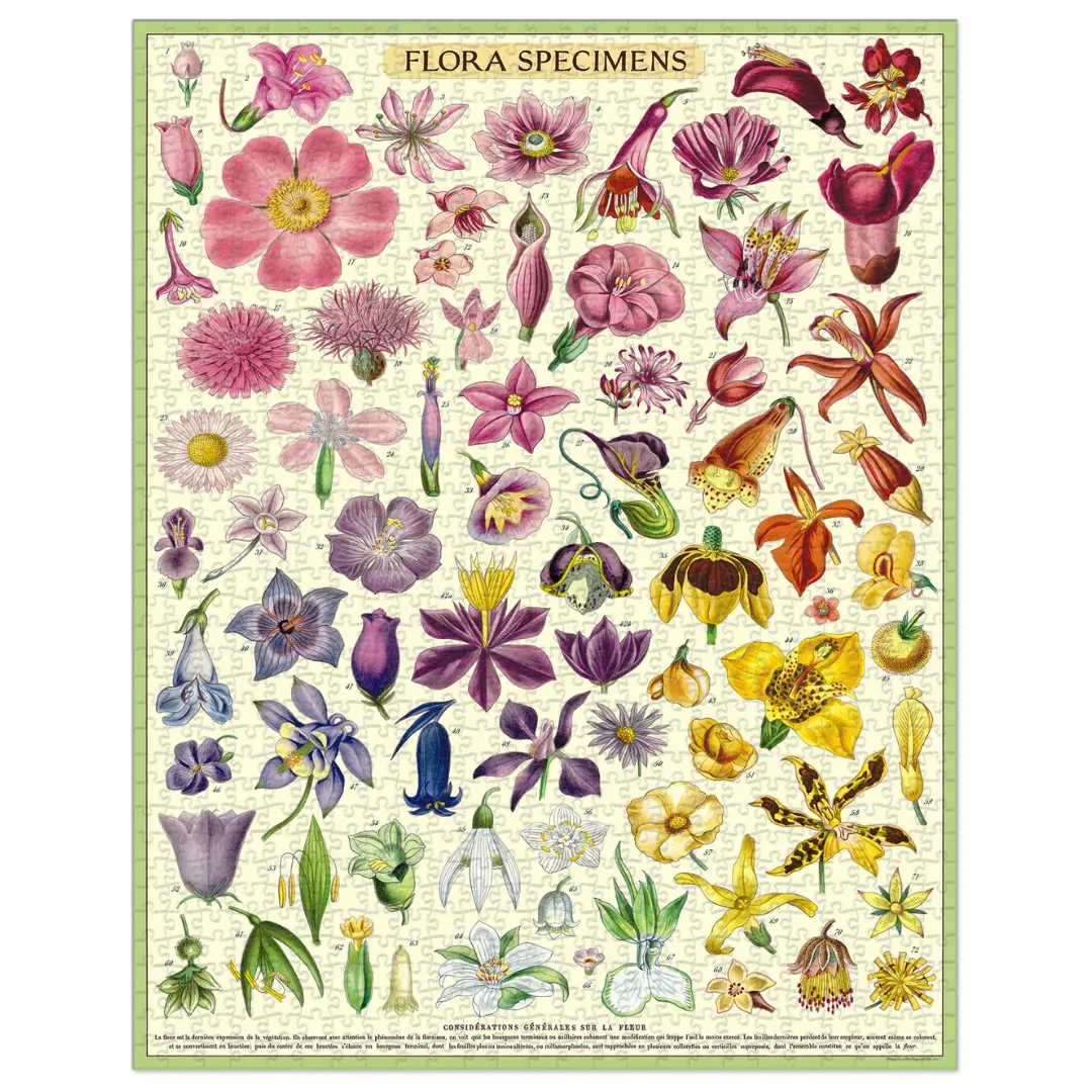 Flora Specimen | 1,000 Piece Jigsaw Puzzle