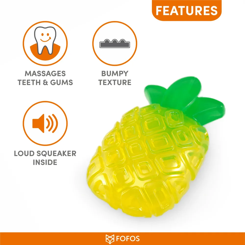 Fofos Jelly Pineapple Squeaky Chew Toy for Dogs