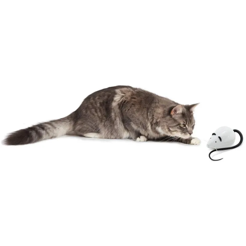 FroliCat RoloRat Automatic Cat Teaser Toy