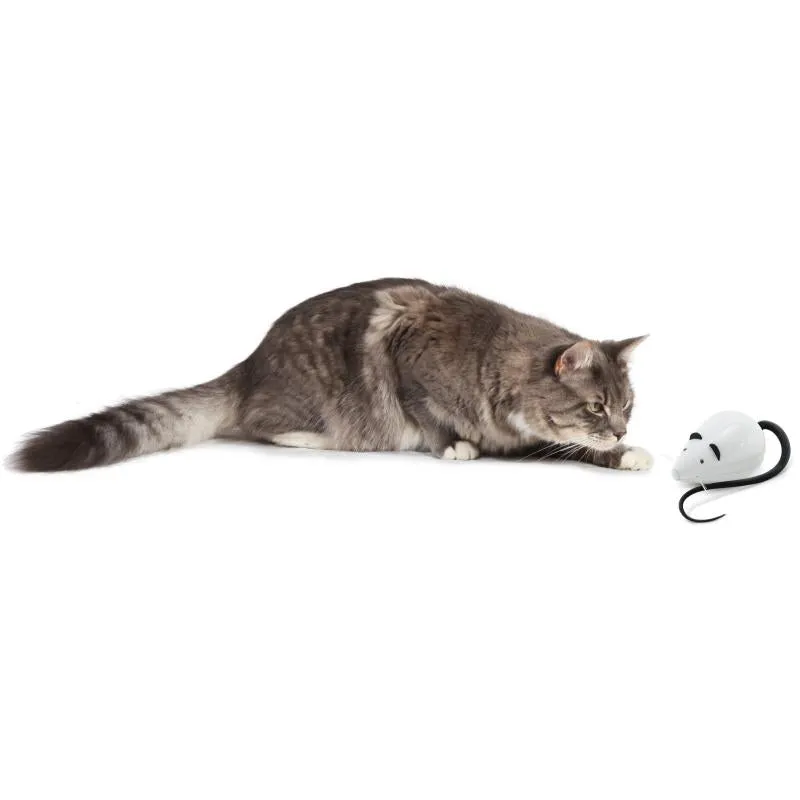 FroliCat RoloRat Automatic Cat Teaser Toy