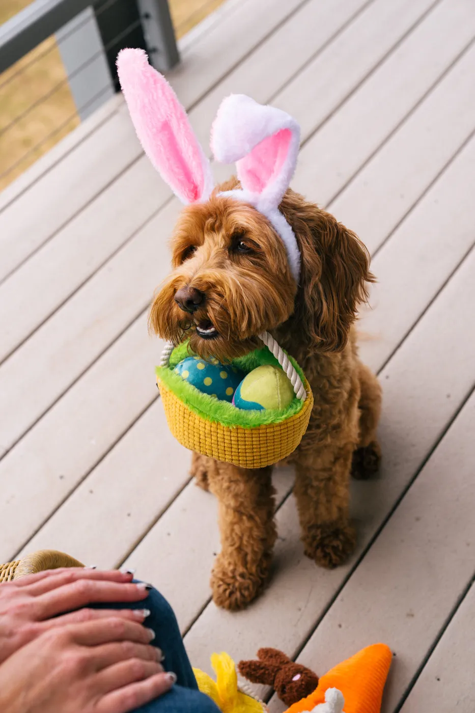 Hippity Hoppity Eggs-cellent Basket