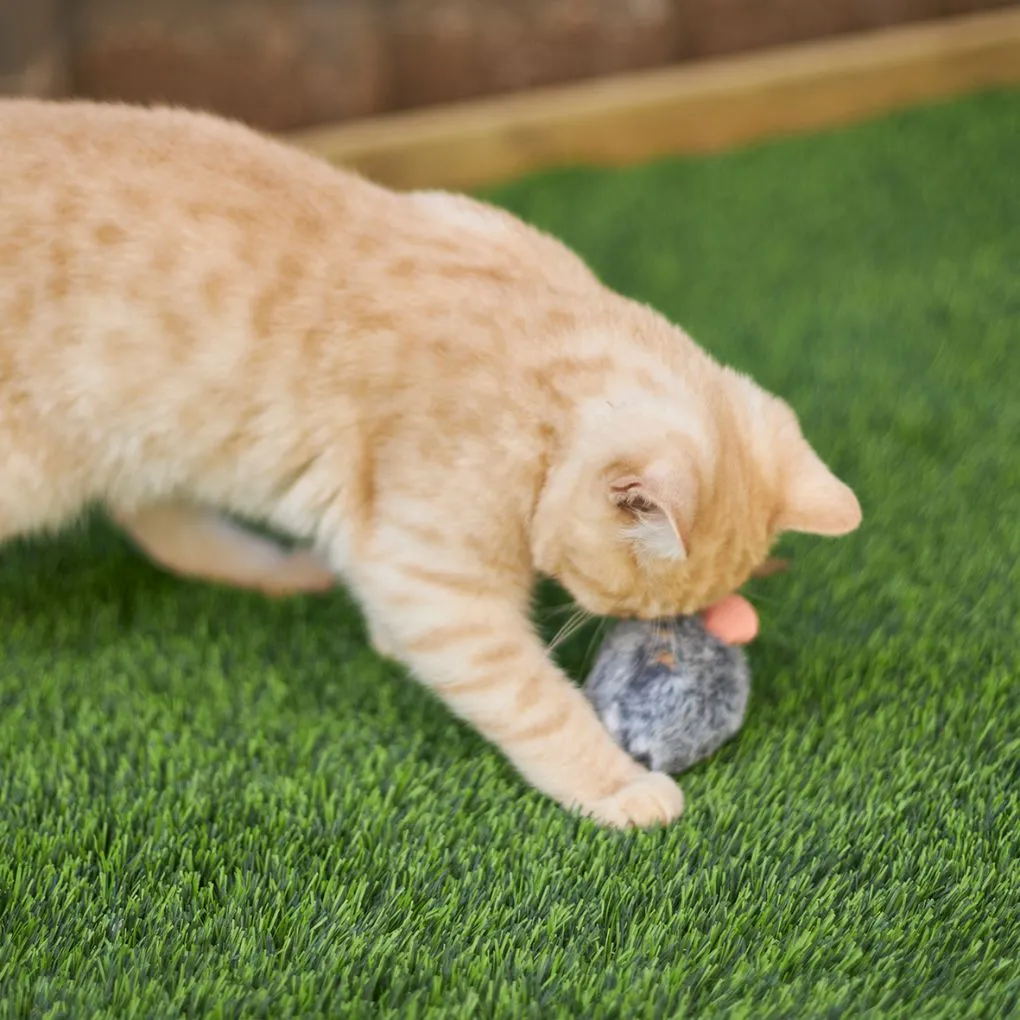 Kazoo Noisy Mouse Cat Toy