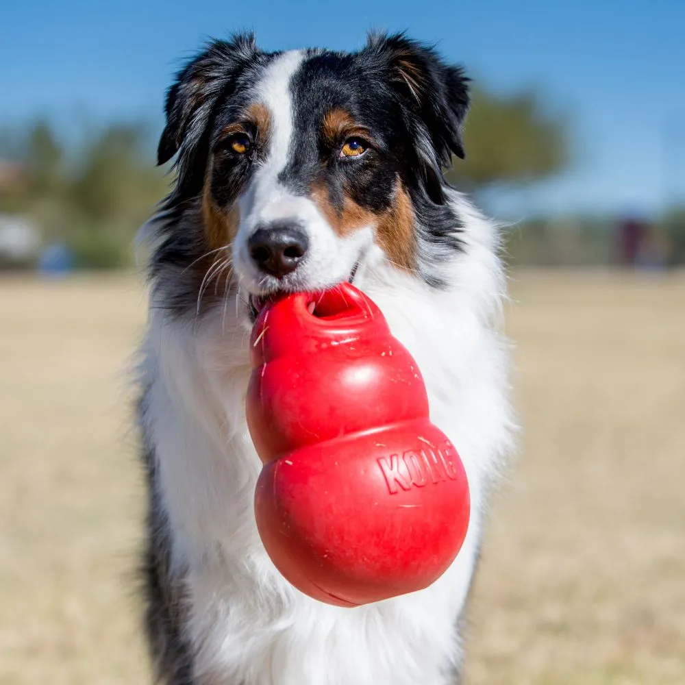 KONG Bounzer™