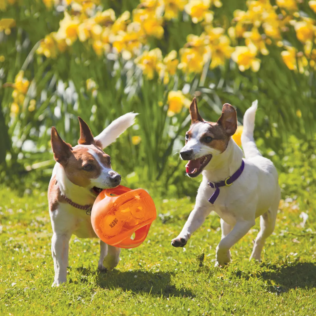 Kong Jumbler Toy Ball For Dogs (color varies)