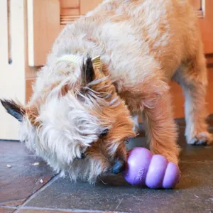 KONG Senior Dog Toy - Purple