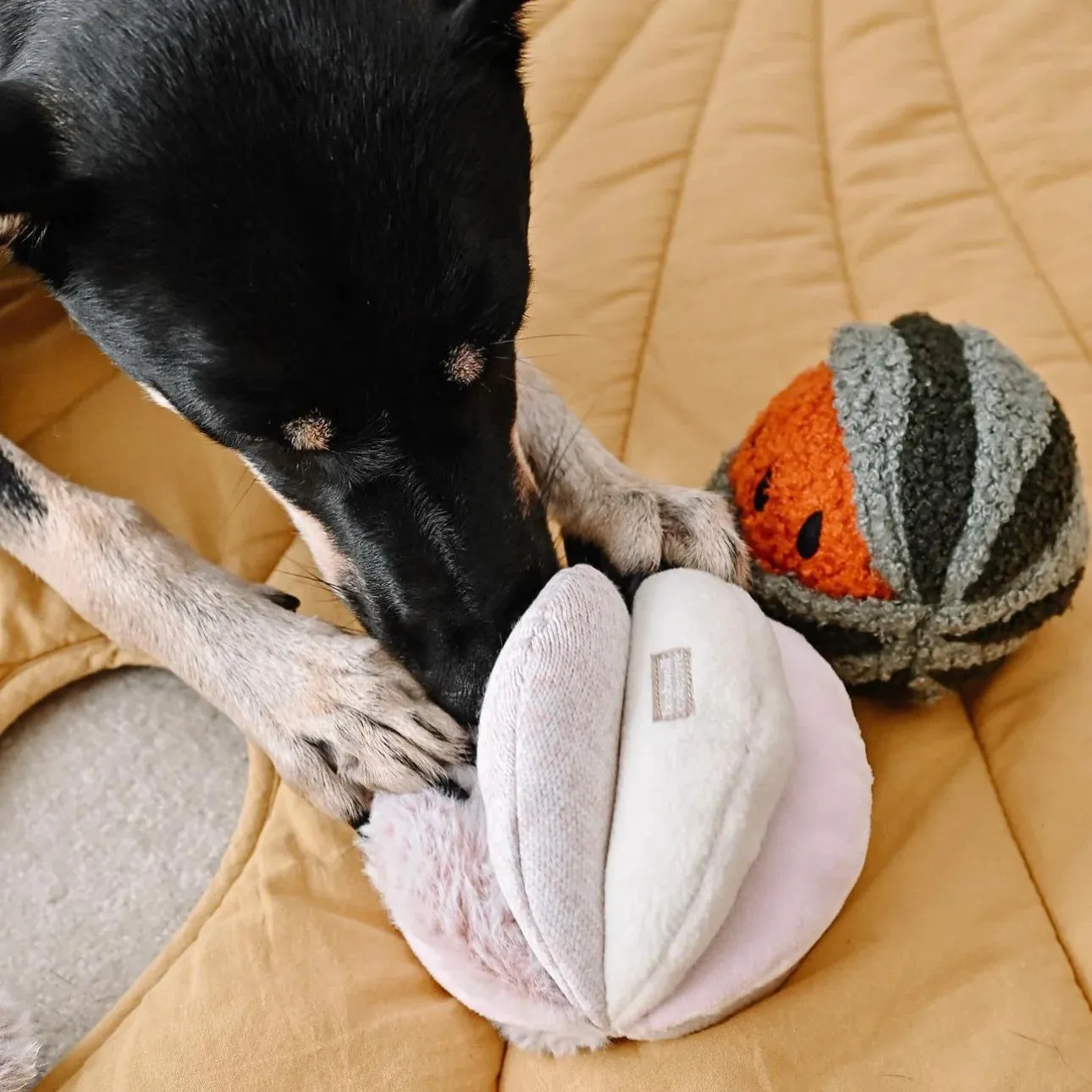 Lambwolf TOTO Squeaky Snuffle Ball