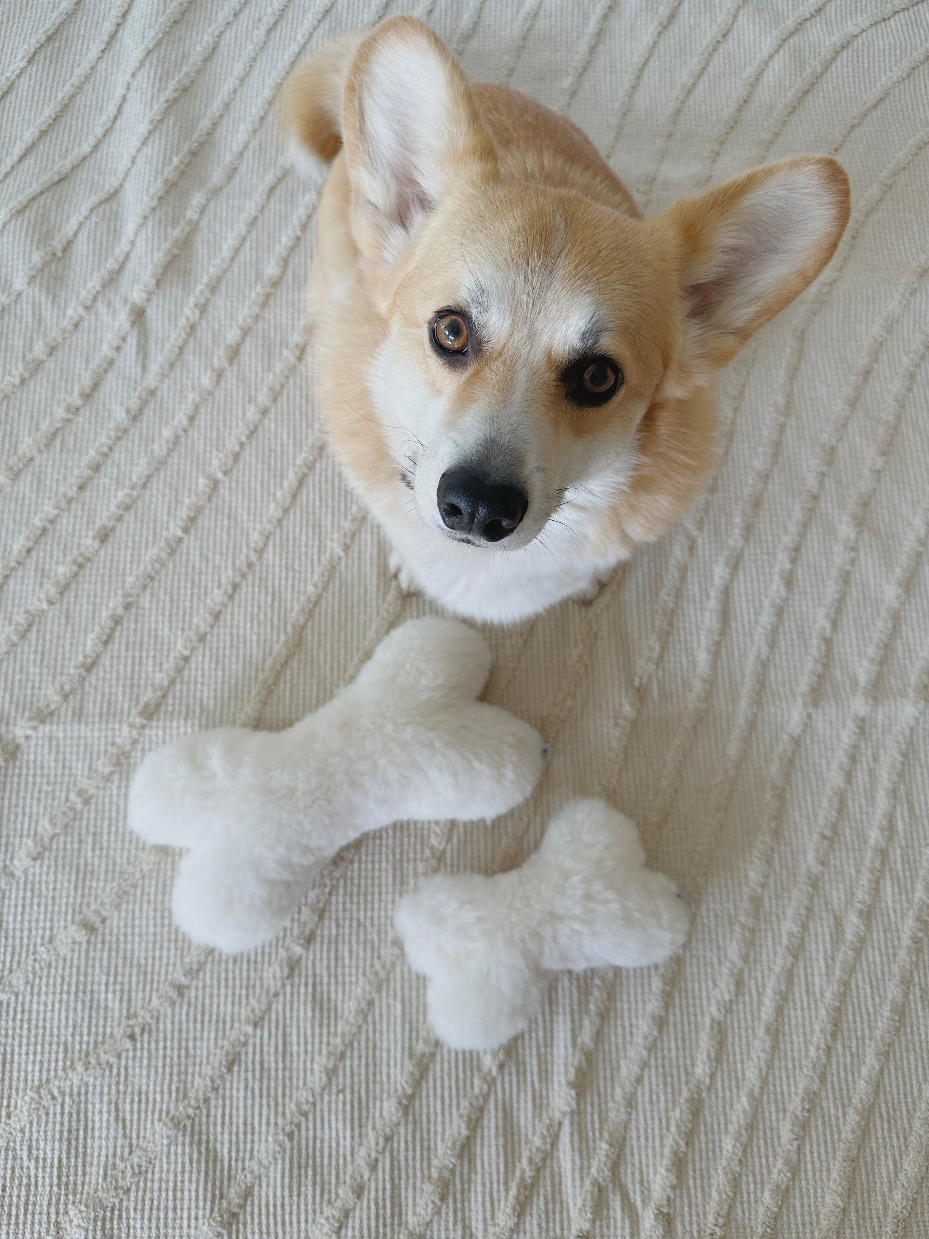 Natural Sheepskin Dog Toy - Bone - White