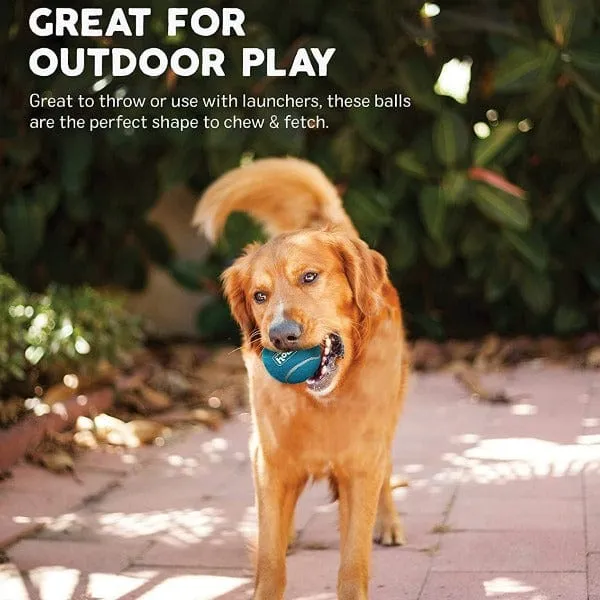 Outward Hound Squeaker Ballz Dog Toy