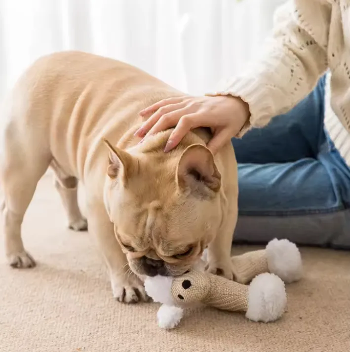 Premium Dog Chew Toy for Playful Moments