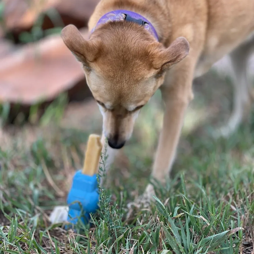 SodaPup Petz Yak Chew Holder