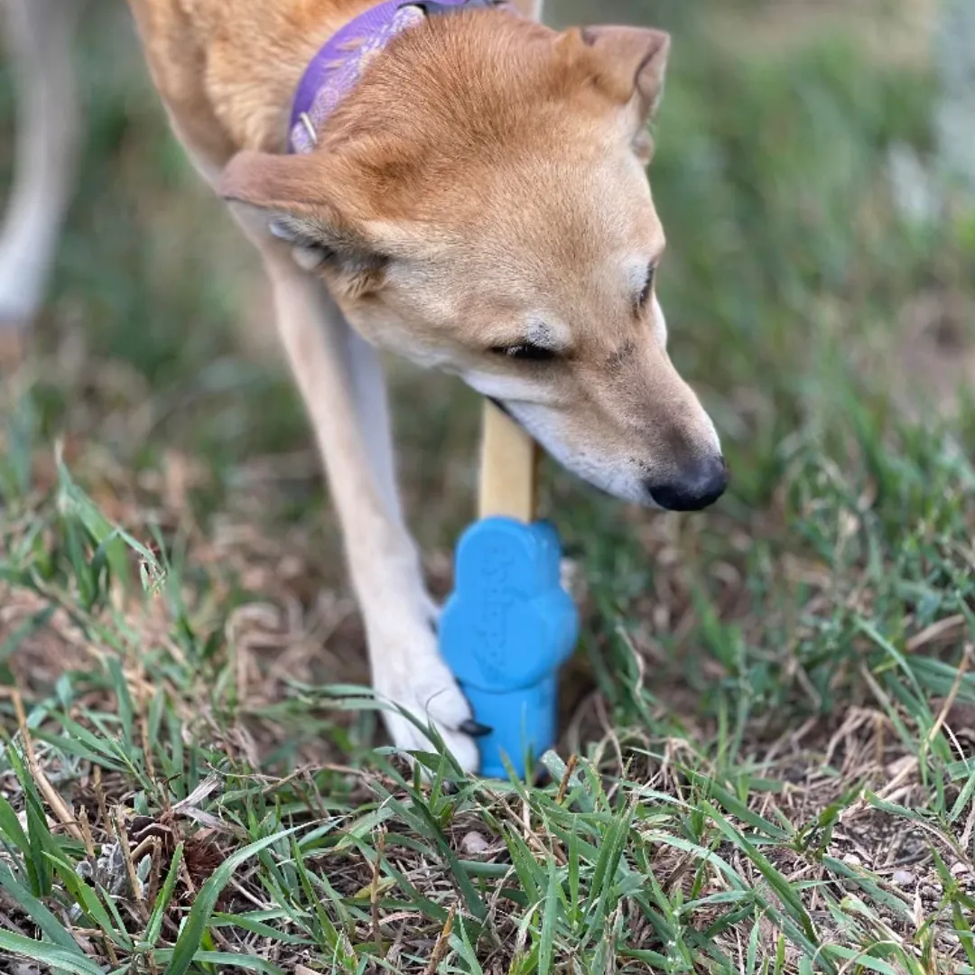 SodaPup Petz Yak Chew Holder