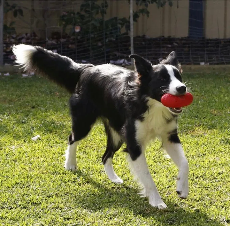 Strong Rubber Happy Harold Squeaking Toy