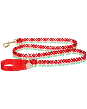 Watermelon Dog Leash