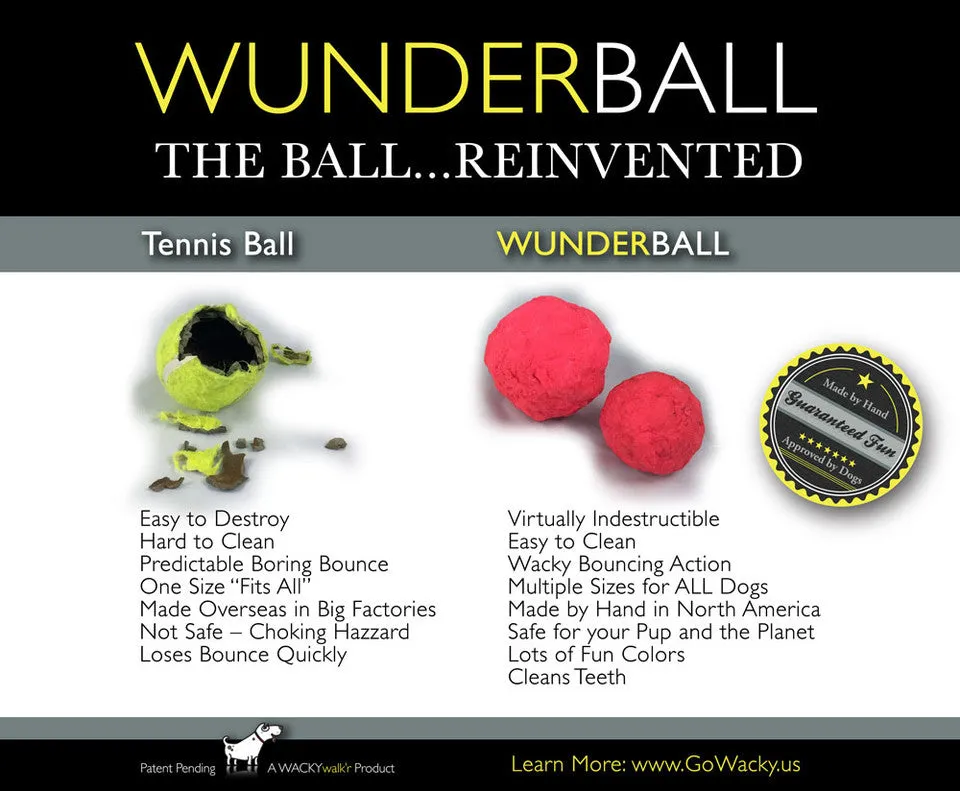 Wunderball Best Fetch Toy - (multiple variants)