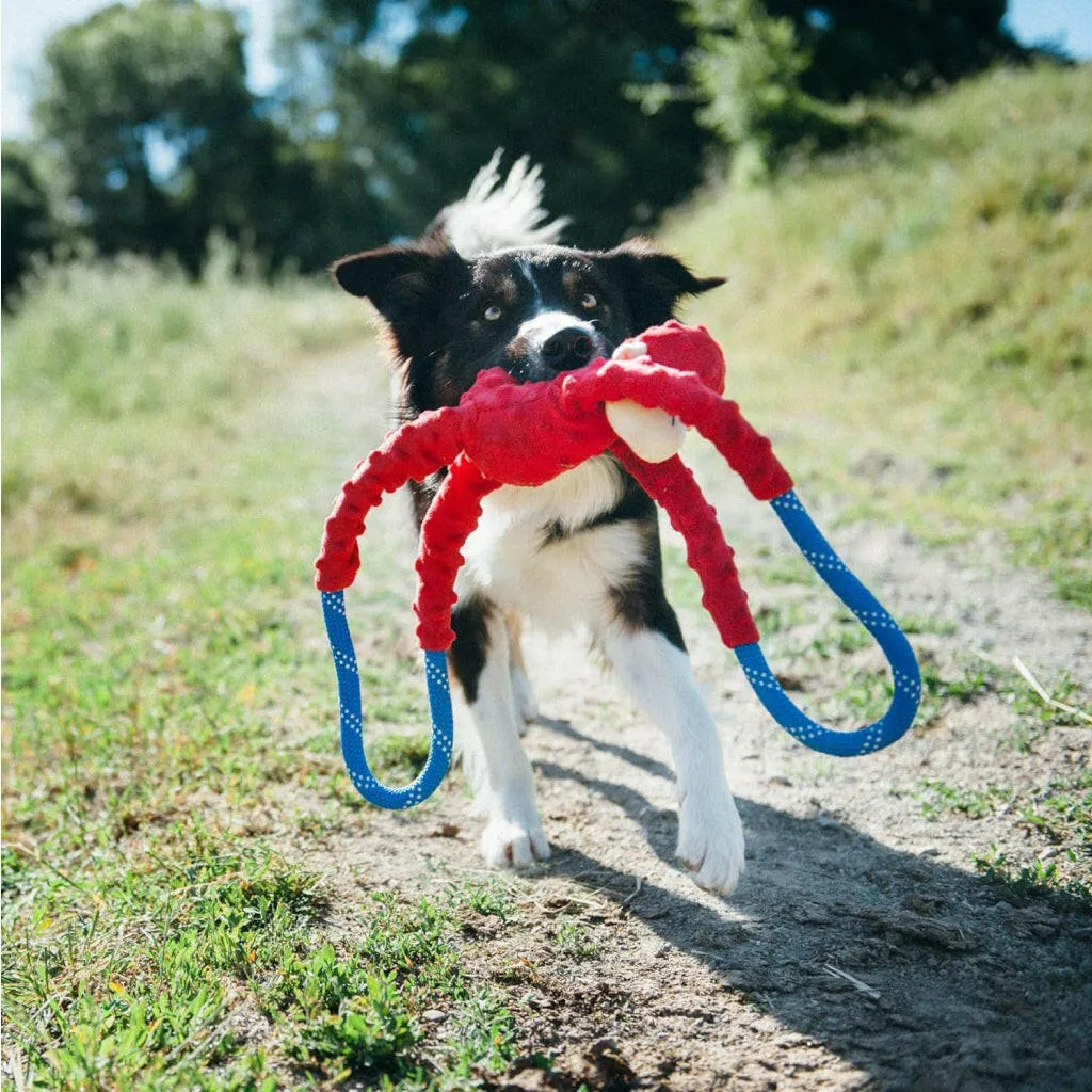 Zippy Paws Monkey RopeTugz Durable Rope Squeaky Chew Toy for Dogs