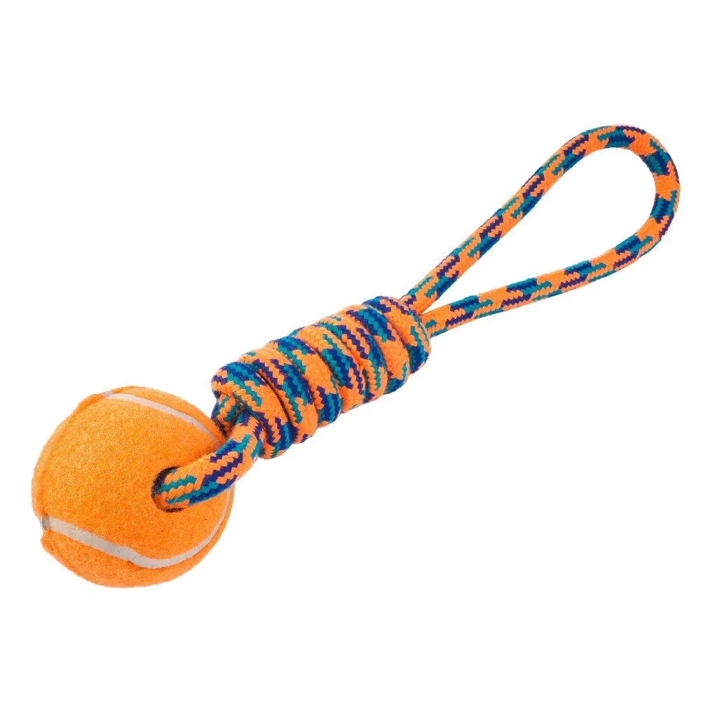 Zoon Uber-Activ Ball & Ball Lobber